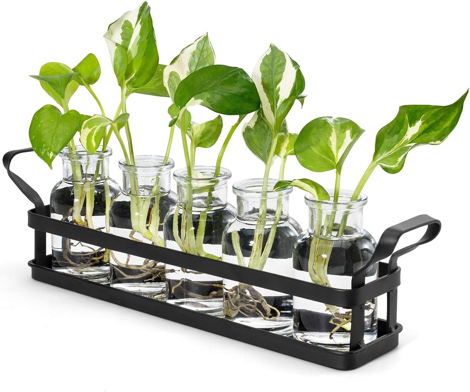 Glass planter vases metal stand Mkono