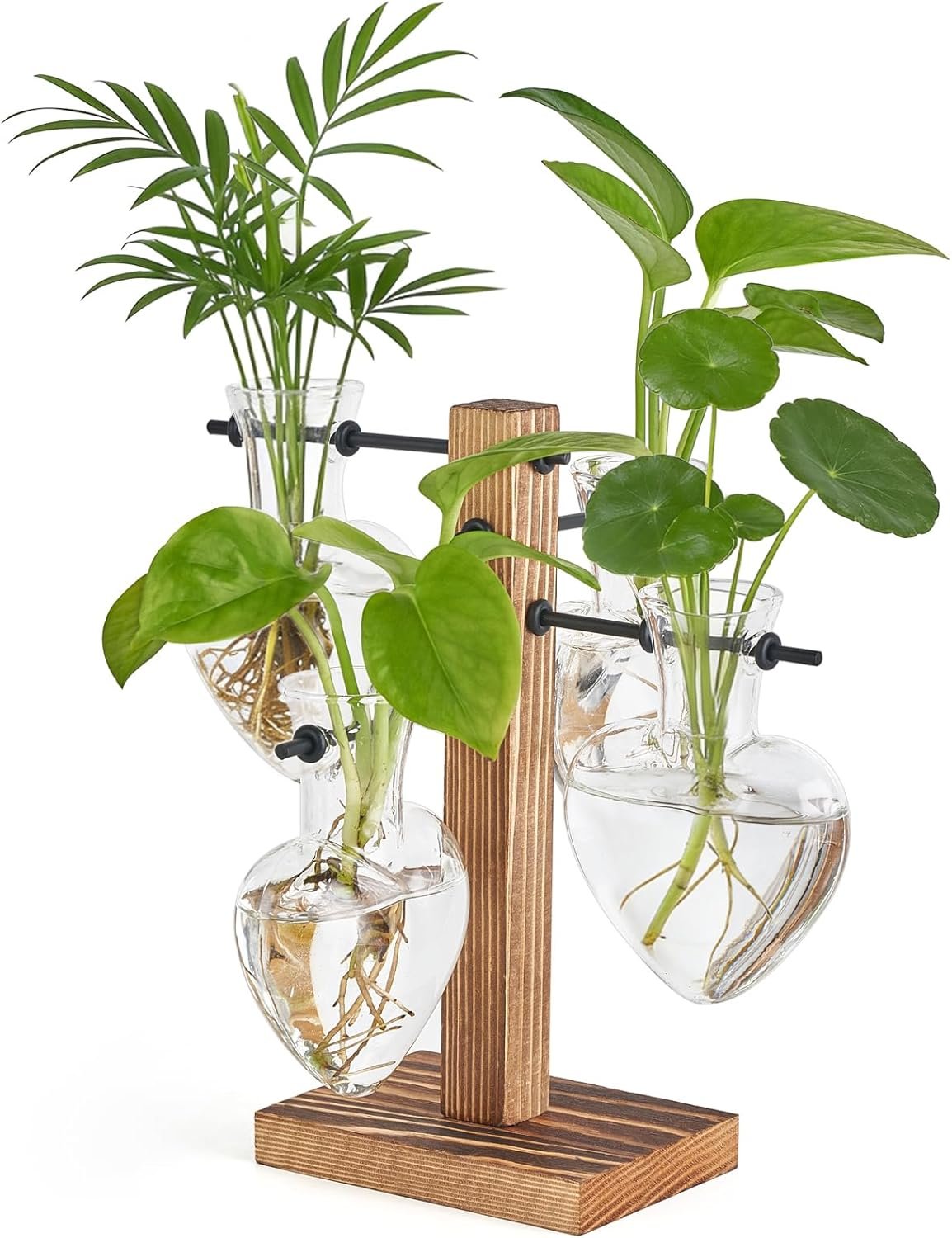 Mkono heart propagation station 4 vase