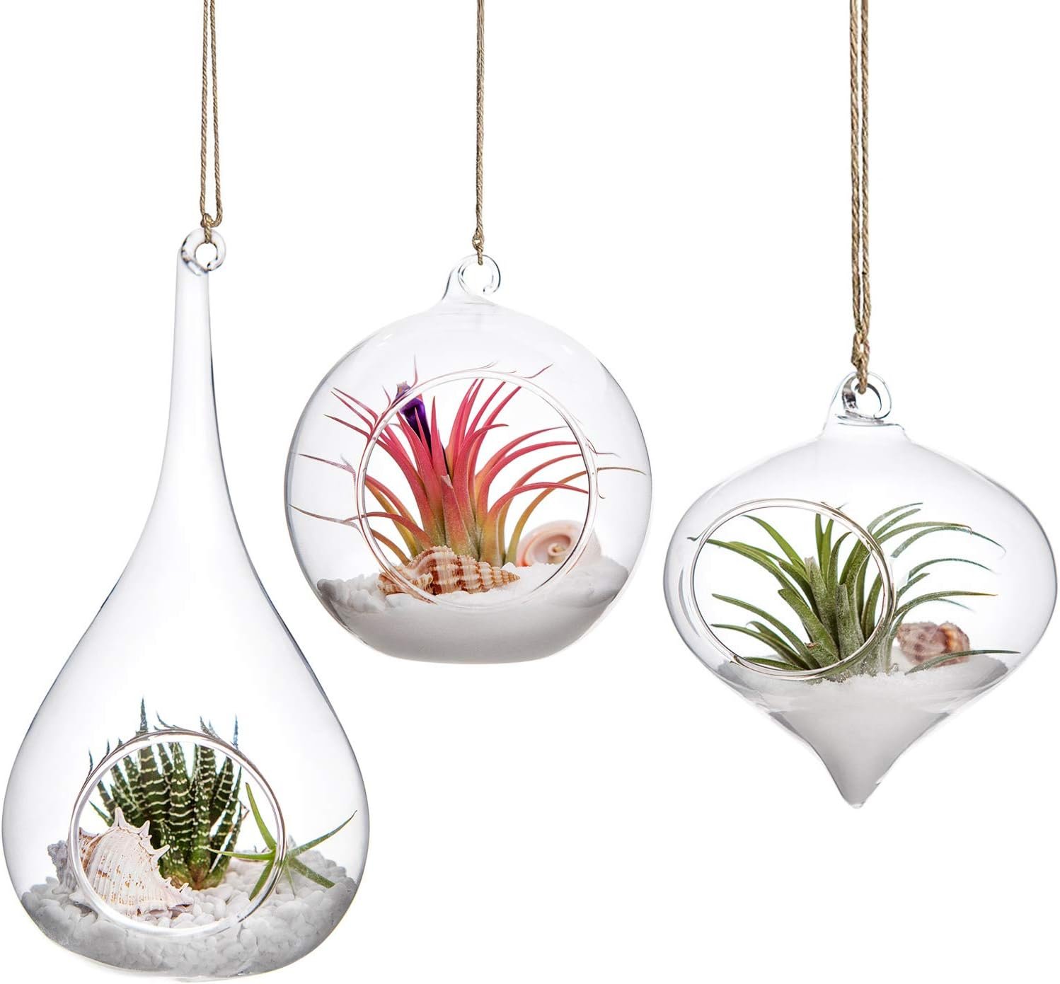 Mkono glass hanging terrarium 3 pack