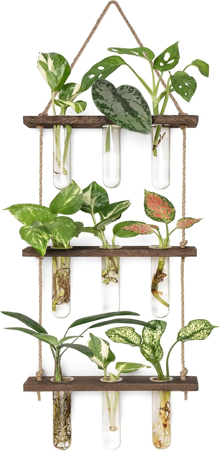 Wall mount propagation tube stand